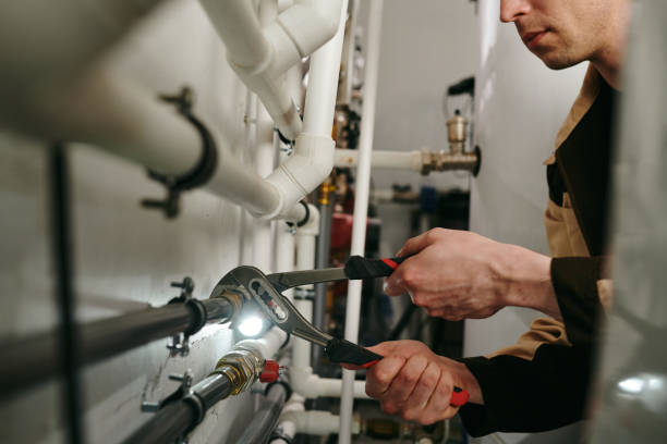 Best Plumbing Inspection Services  in Quinnesec, MI