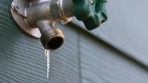 Sprinkler Systems in Quinnesec, MI